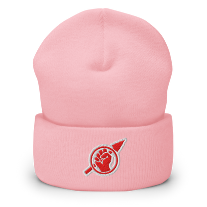 Fist and Spear Hi-Hat Beanie in BabyPink