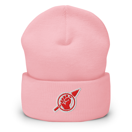 Fist and Spear Hi-Hat Beanie in BabyPink